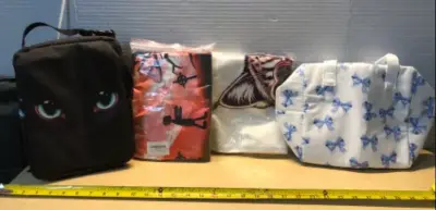 Picnic bag, lunch bag, Halloween photo backdrop, pillow cover