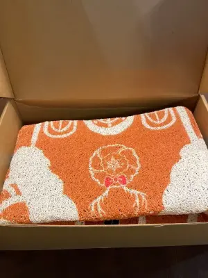 light up gingerbread house mat