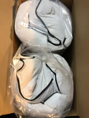 2 pc feather pillows