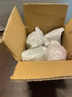 4pack of 3D dragon eggs