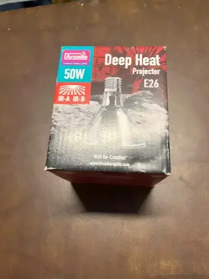 deep heat projector