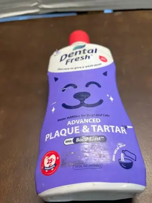 dental fresh plaque & tartar