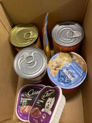 box of wet dog food (mostly in date)
