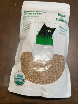 organic wheat grass seeds