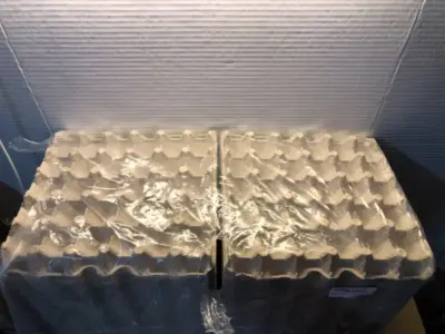 30 count egg cartons