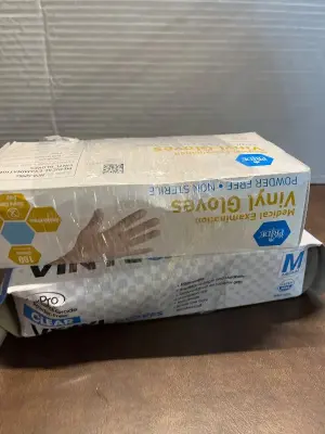 2ct vinyl gloves