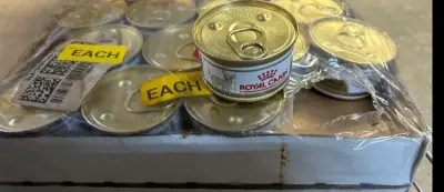 12 pack of royal canine Chihuahua food 12/27