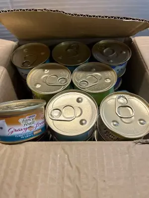 lot of fancy feast cat food