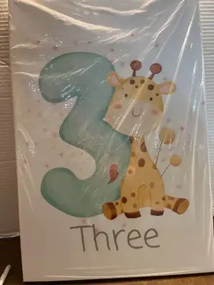 3ct 1-3 canvass