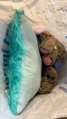 stuffed animals & pillow