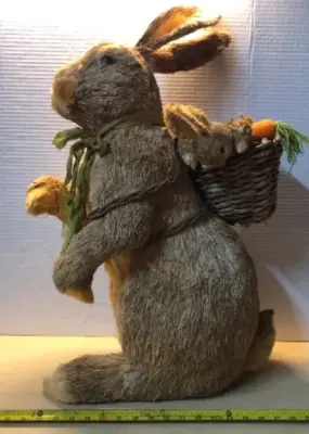 Rabbit with baby missing foot