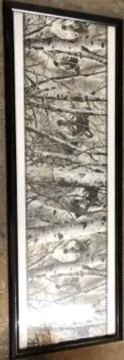 Wolf picture