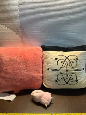 2ct pillow