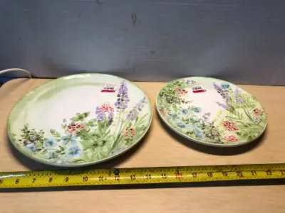 One small plate one large plate