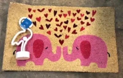 Elephant Rug and flamingo light
