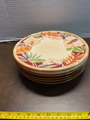 6ct plates