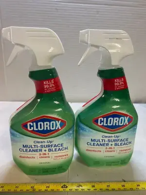 2 clorox multi surface cleaner beach