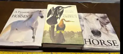 3ct books