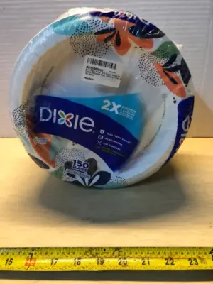 Dixie 150 plates
