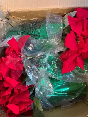 box of artificial plants