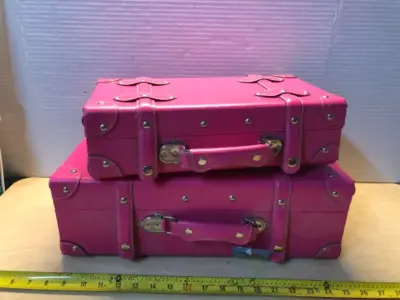 2pc pink case set