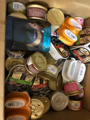Box of variety cat food mostly in date