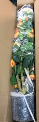 3ft 2 pack artificial tree