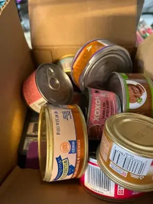 box of variety pet food