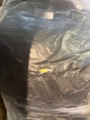 trunk with back rest mat