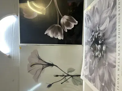 3 ct floral wall prints