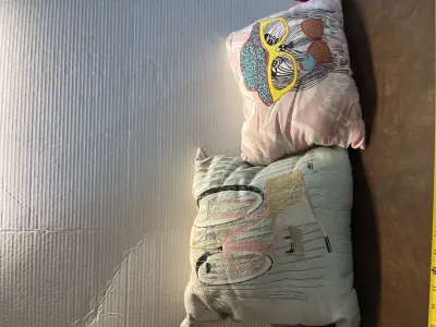 2ct decorative pillows