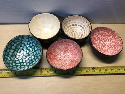 5pc coconut bowls