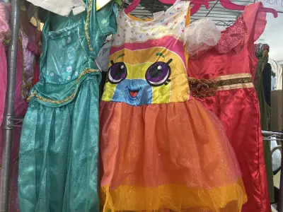 3 small little girl costumes