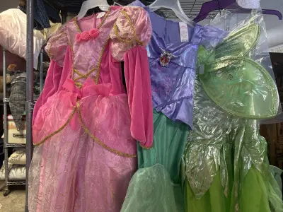 3ct small girls costumes