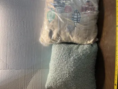 2ct pillows