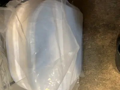 cushion inserts??