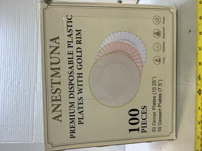100 disposable plates