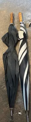 2ct umbrella