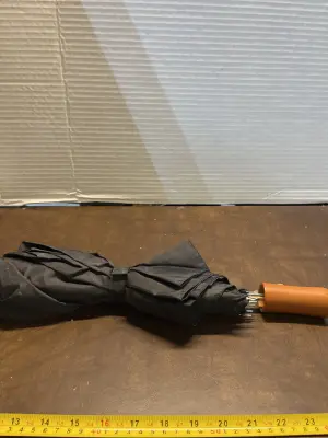 umbrella