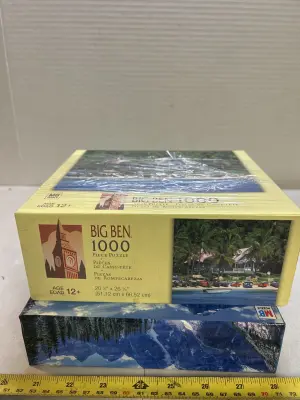 2 100 piece jigsaw puzzles