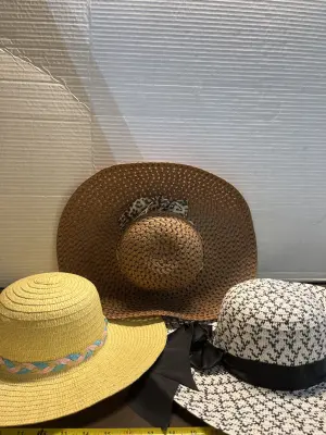 3ct hats