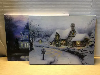 2pc light up canvas needs batteries