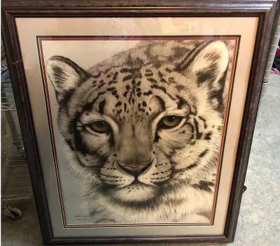 Tiger picture