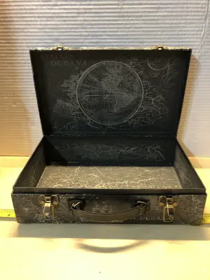 World map case