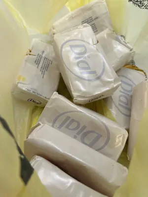 bag of dial bar soap