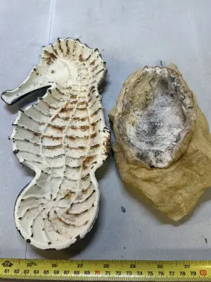 2 ct beach decor