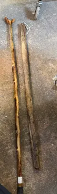 2ct walking sticks