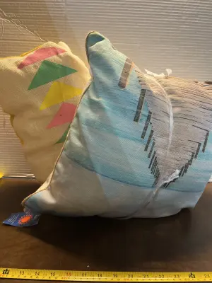 2ct pillows