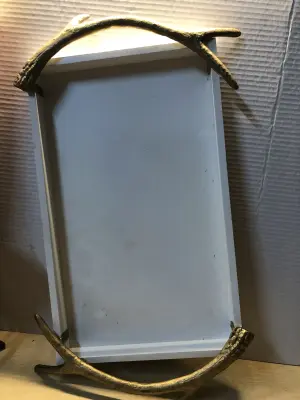 Deer antler serving tray