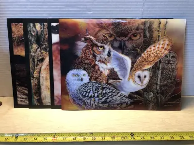 4pc 3D holographic animal images
